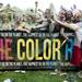 Color Run participants gather for a concert in Riverside Park on Saturday, May 11. Daniel Brenner I AnnArbor.com